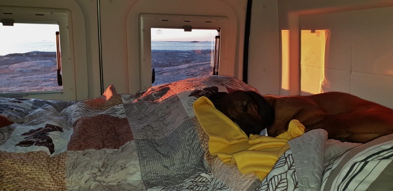 20190414_204203 (800x389)