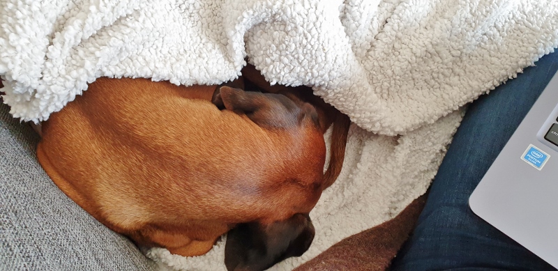 20190428_102729 (800x389)