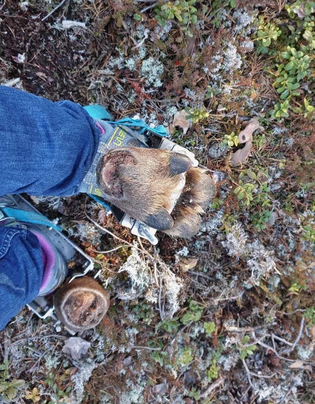 Snapchat-1180302363 (624x800)