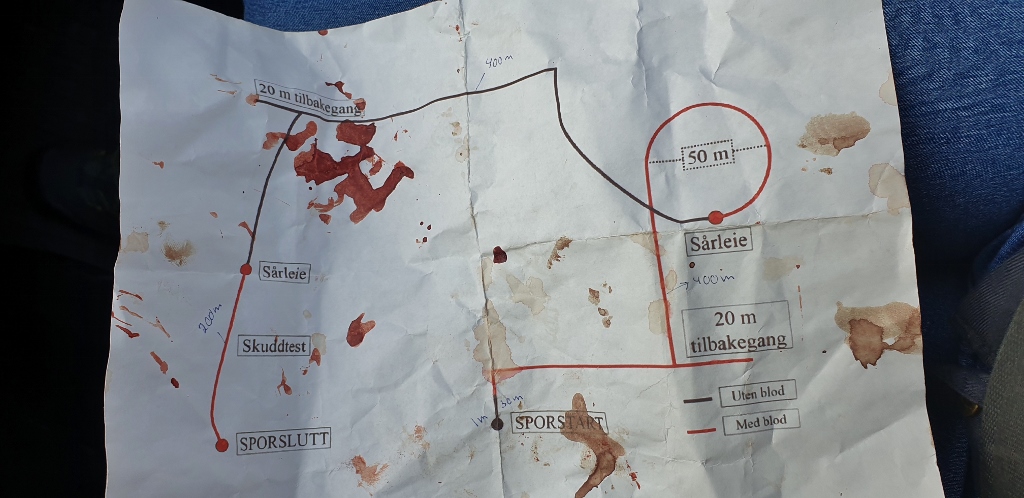 20190501_183223 (1024x498)