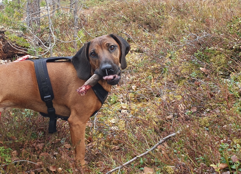 20190502_161729 (800x578)