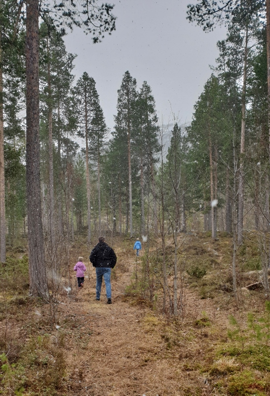 20190505_124038 (546x800)