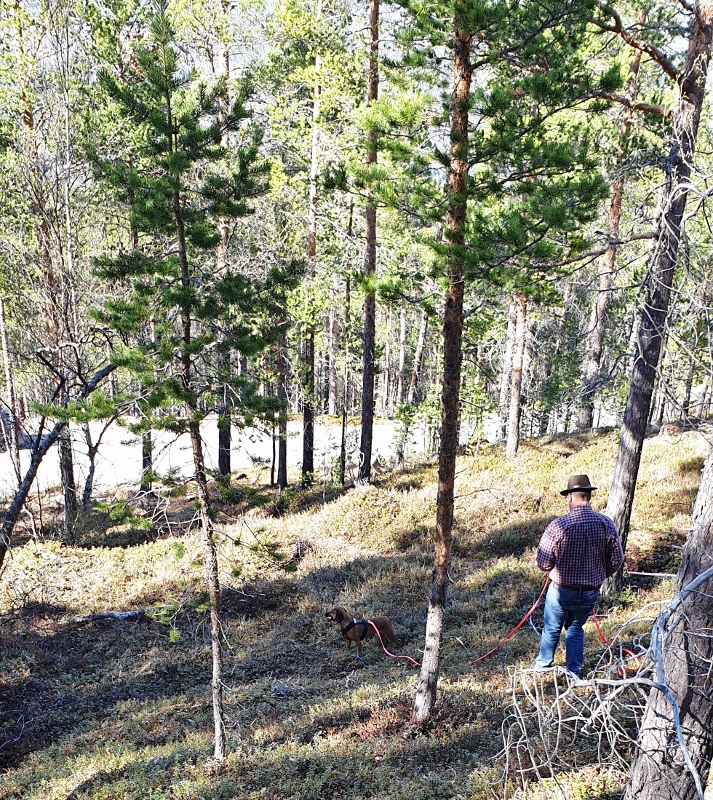 20190508_162855 (713x800)