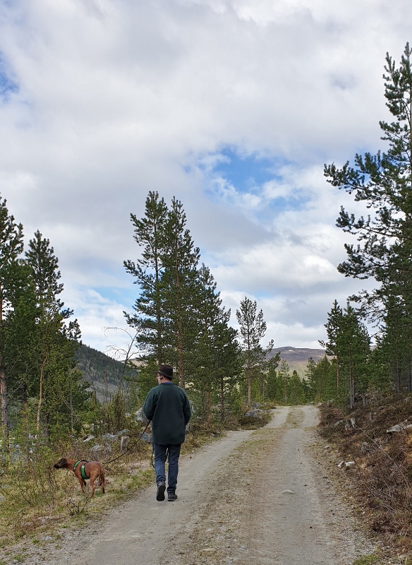 20190527_163448 (584x800)