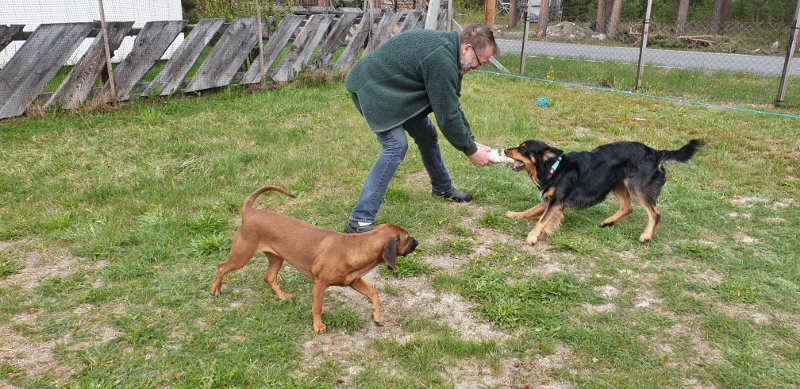 20190530_130800 (800x389)