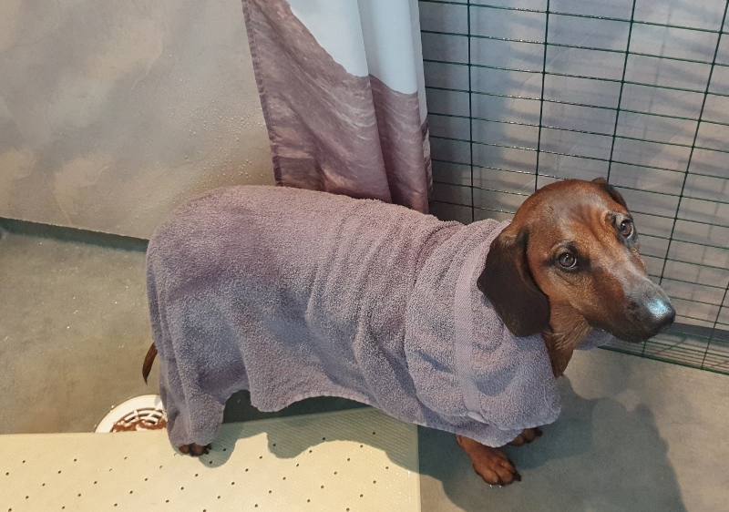 20190530_142443 (800x562)