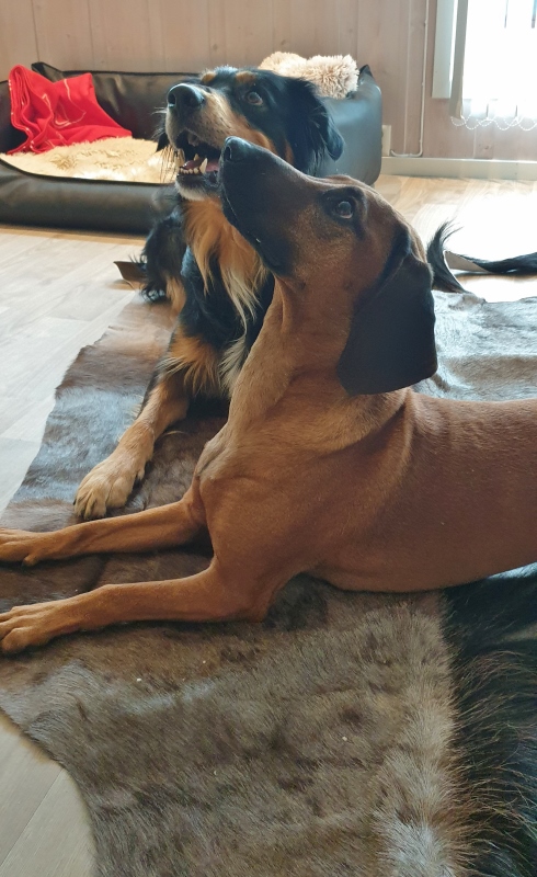 20190606_172513 (490x800)