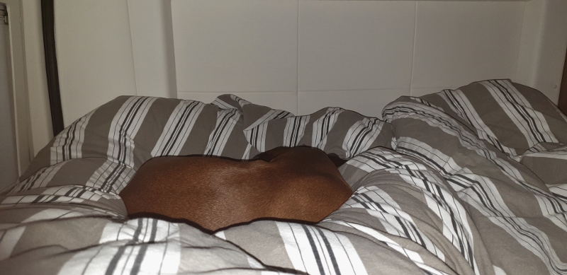 20190607_220715 (800x389)