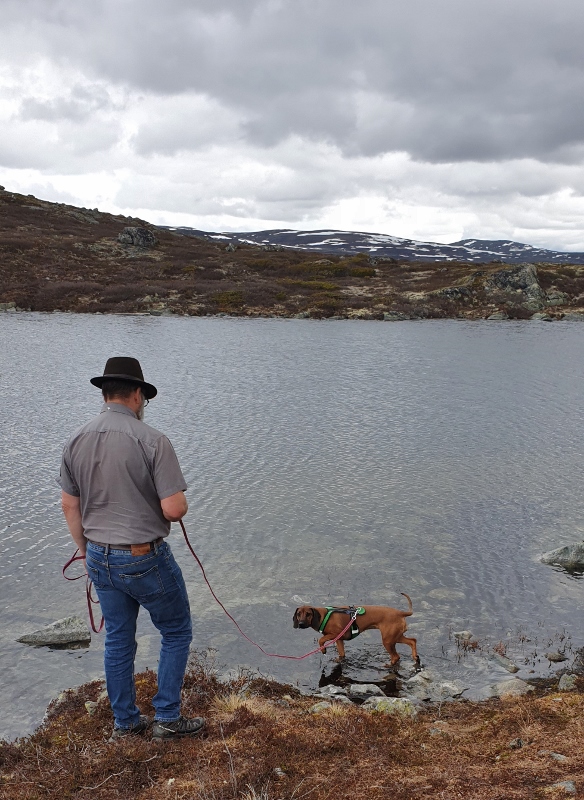 20190609_112915 (584x800)