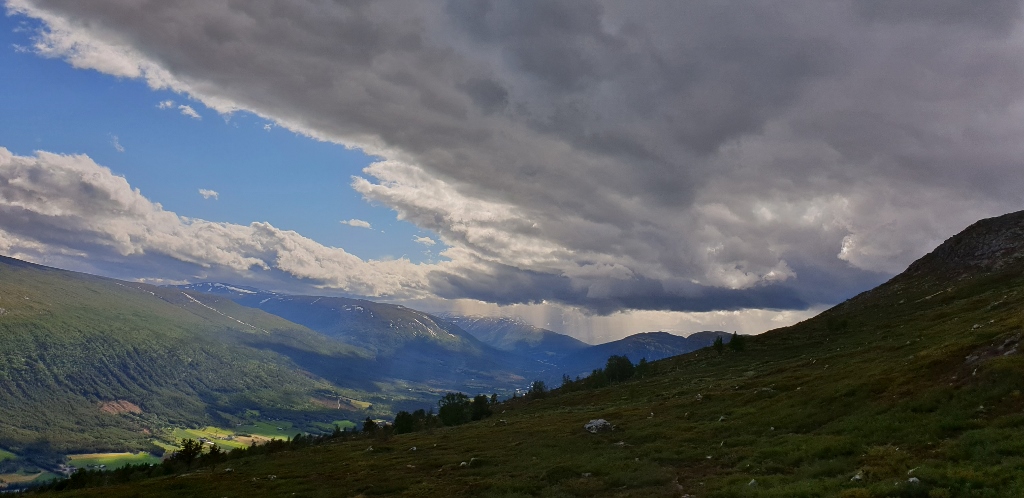 20190630_181123 (1024x498)