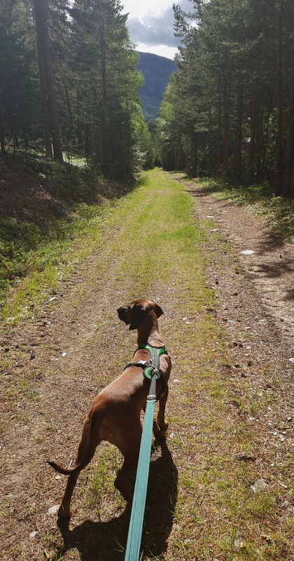 20190702_100059 (420x800)