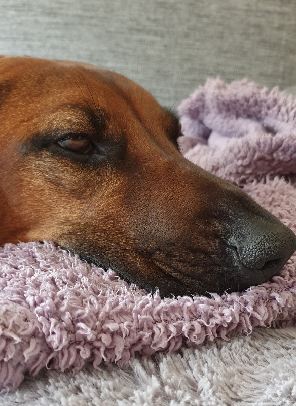 20190703_184103 (584x800)