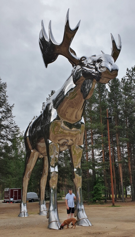 20190715_065411 (456x800)