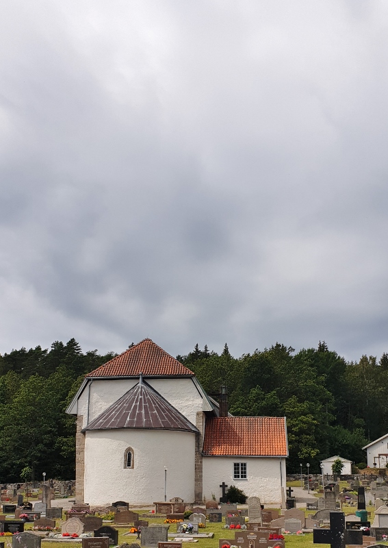 20190719_132256 (567x800)