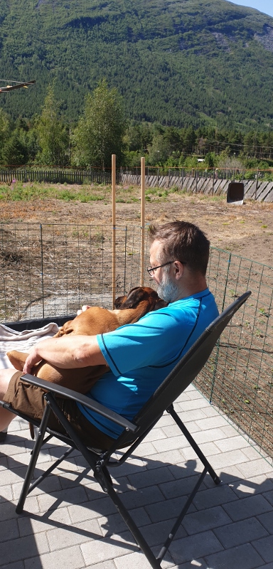 20190724_114553 (389x800)