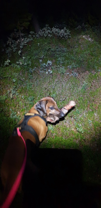 20190726_003814 (389x800)