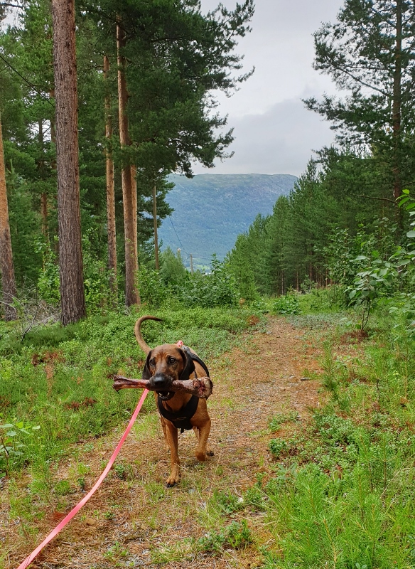 20190731_142844 (584x800)