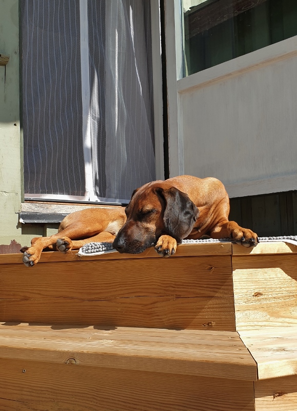 20190801_132704 (579x800)