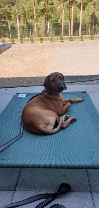 20190805_145124 (389x800)