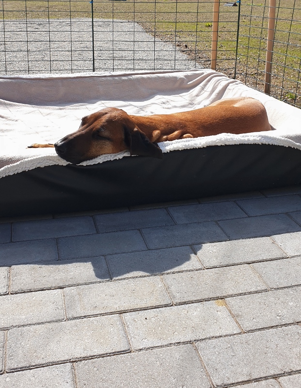 20190815_132217 (622x800)