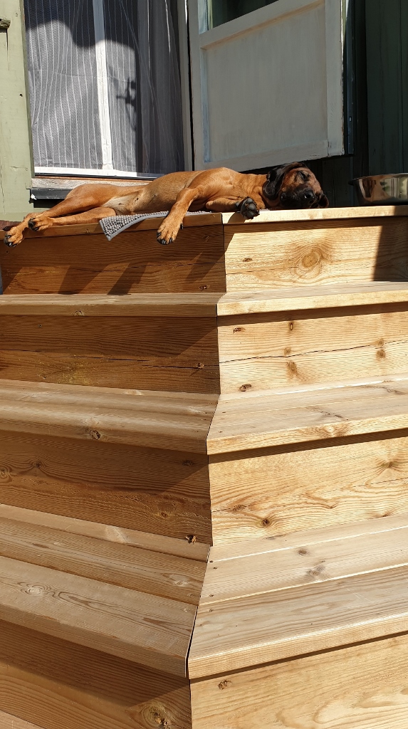 20190827_134528 (573x1024)