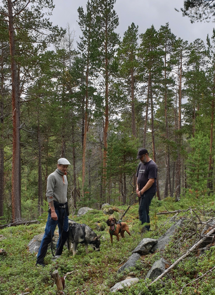 20190831_114450 (747x1024)