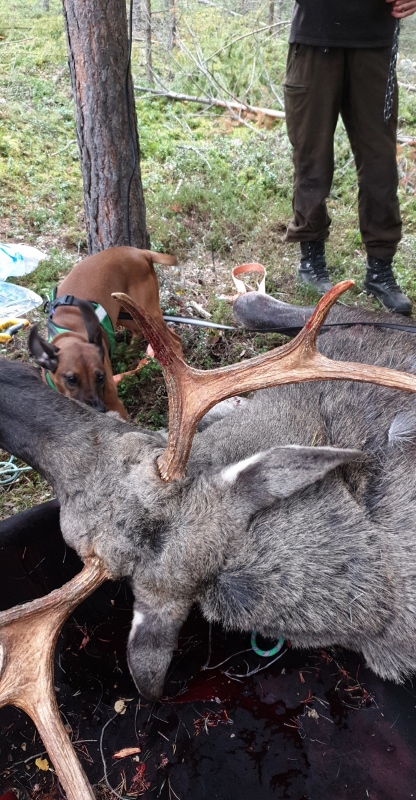 Snapchat-927411675 (416x800)