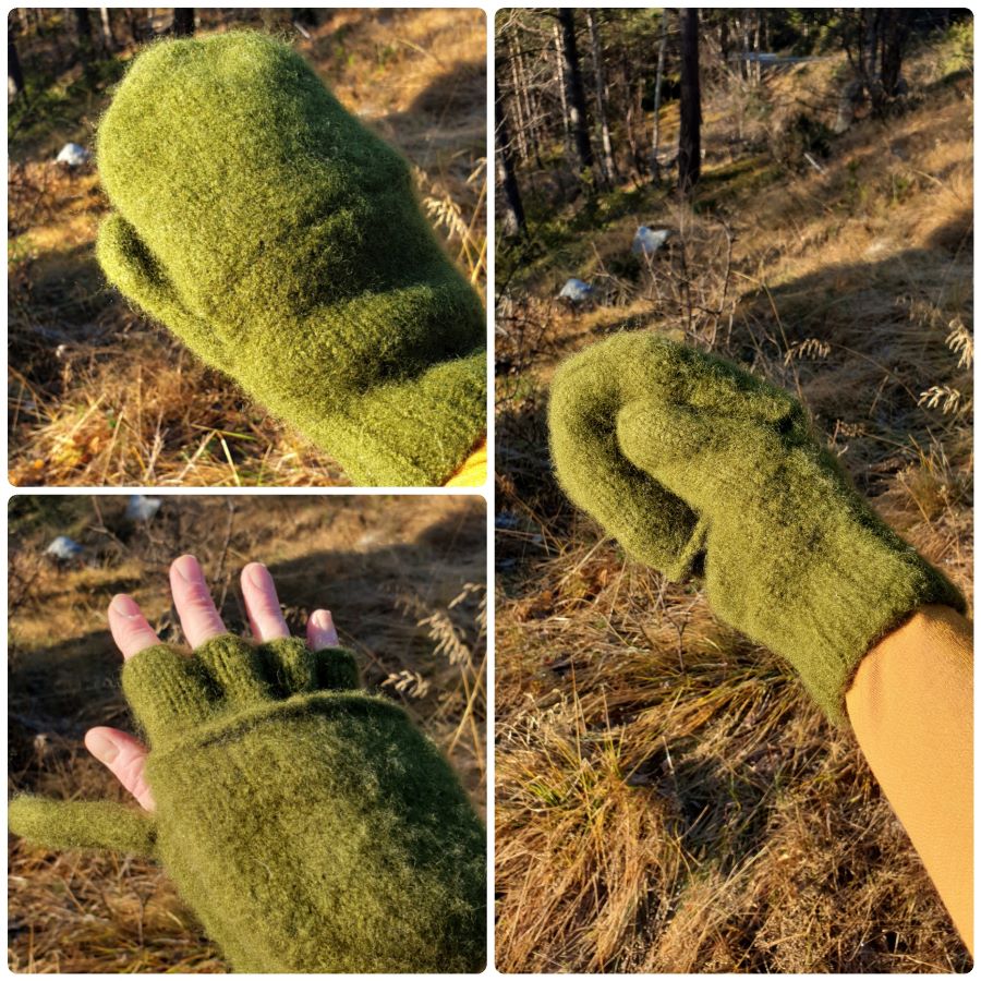 PhotoCollage_20191103_130311970 (2)