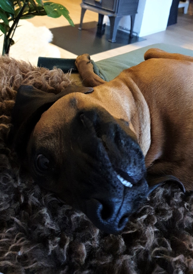 Snapchat-1679675979 (2)