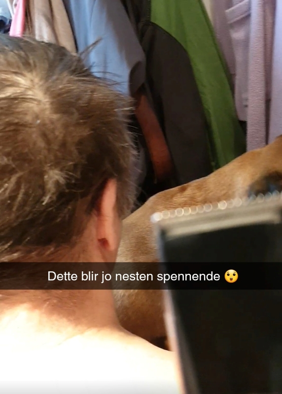 Screenshot_20200405-120010_Snapchat (2)