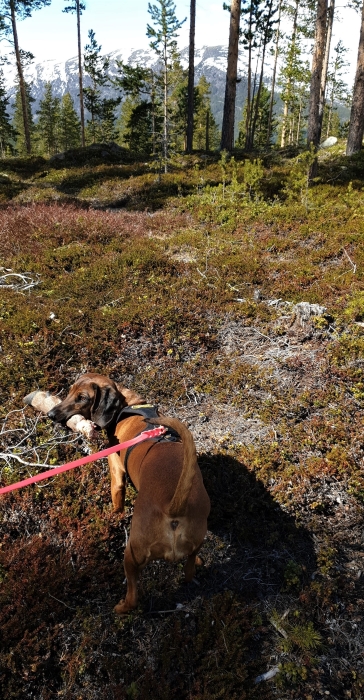 Snapchat-1508259719 (2)