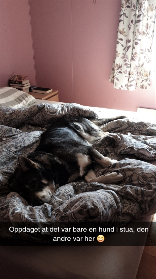 Snapchat-1816431776 (2)